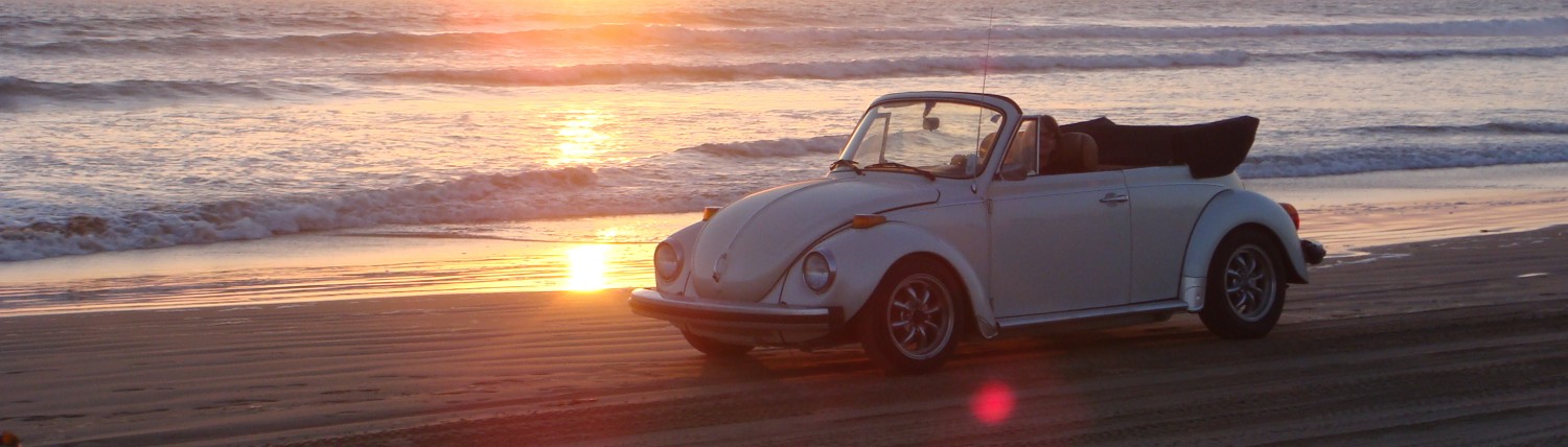 TravelnBug.com